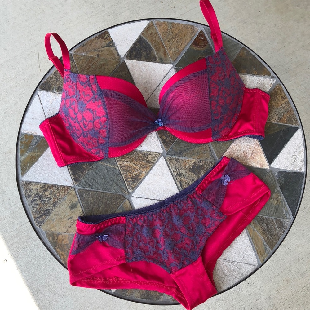 Samantha Blake pink purple bra panty set.